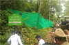Dharmasthala: Excavation at 9th site yields no remains; search to continue at tenth site